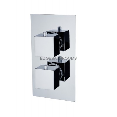 Concealed shower valve square version one outlet